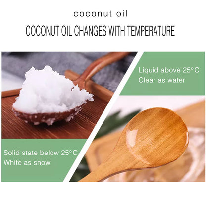 Coconut Skin Care Massage Body Care Essential Oil